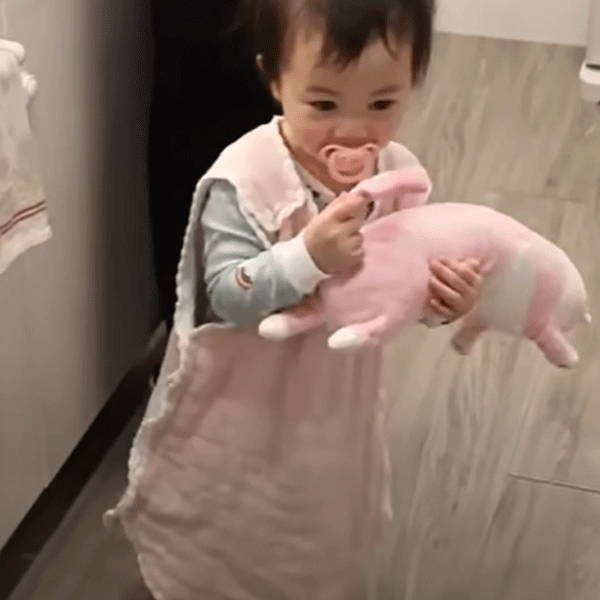 趙小僑