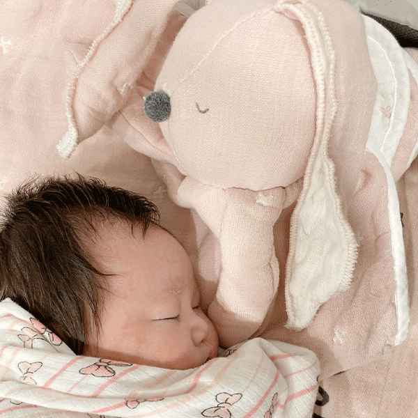 mini me可收納六層紗蓋被 長耳兔