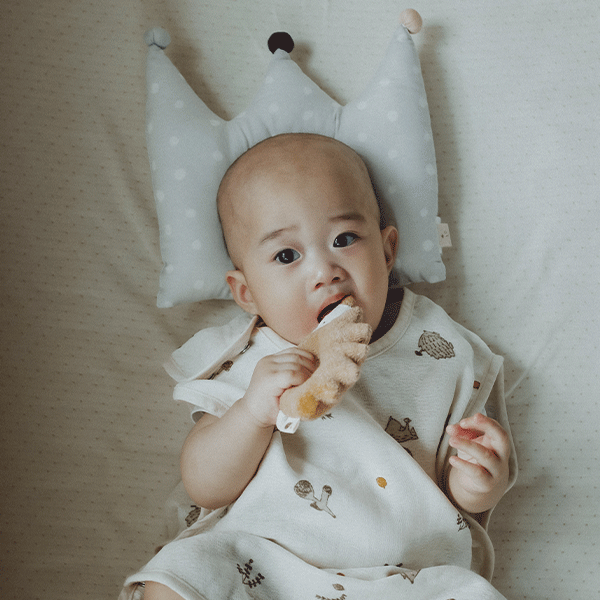 戴著皇冠的小國王